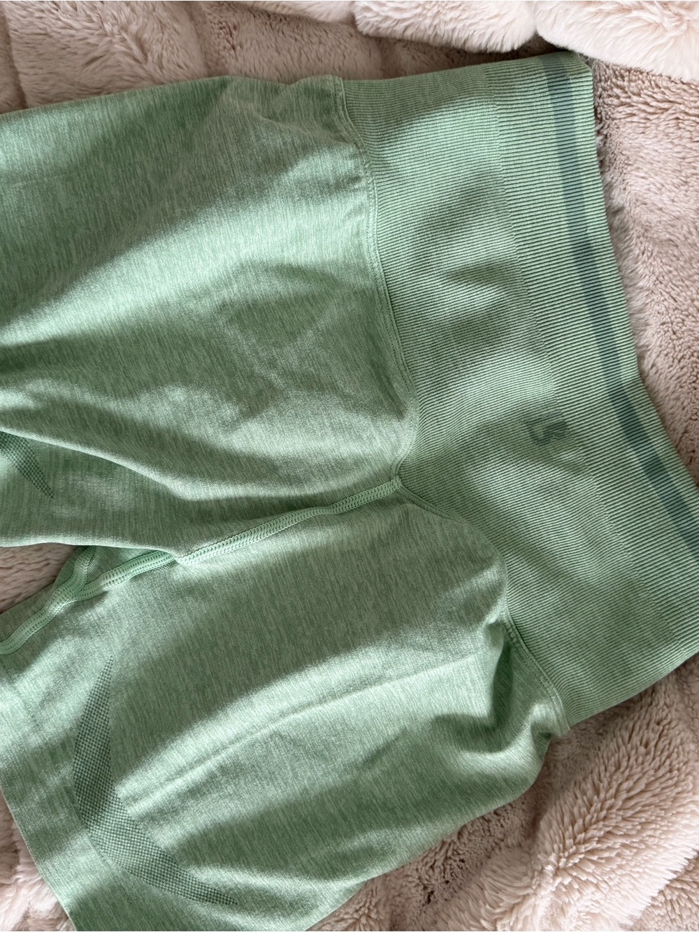 BuffBunny BBL Sage Shorts and Reversible Sports Bra - Picture 9 of 9